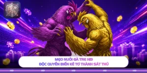 Mẹo Nuôi Gà Tre H19 Độc Quyền Biến Kê Tơ Thành Sát Thủ